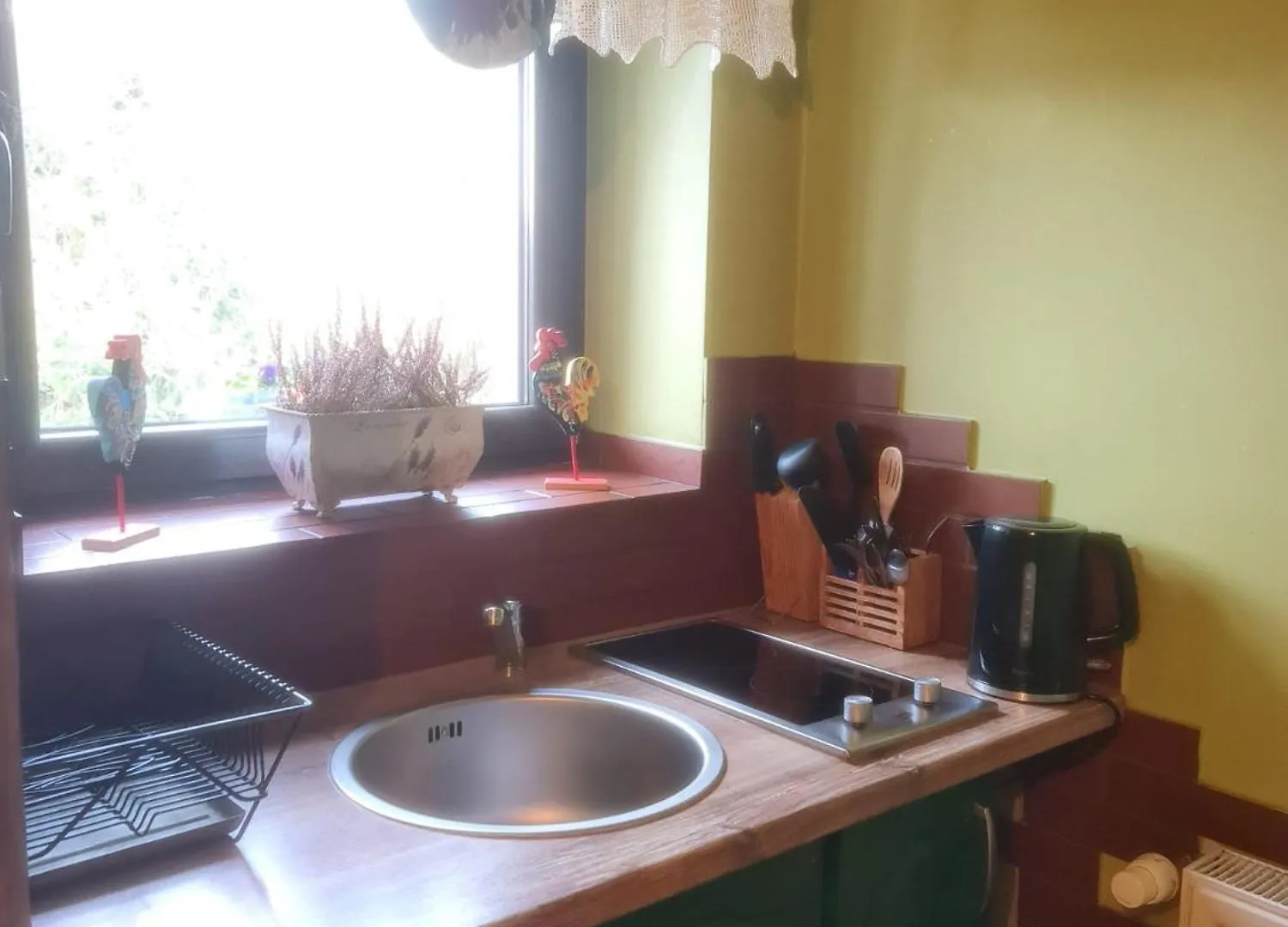 Guest house Apartamenty I Pokoje Aneta Piechowice